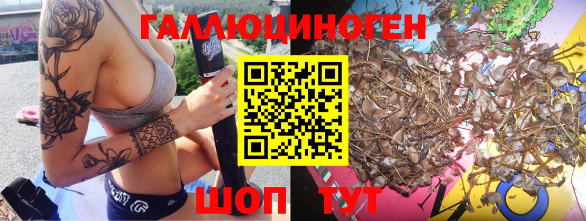 Рязань  Псилоцибиновые грибы Cubensis  Псилоцибиновые грибы мицелий  Вход с VPN 
